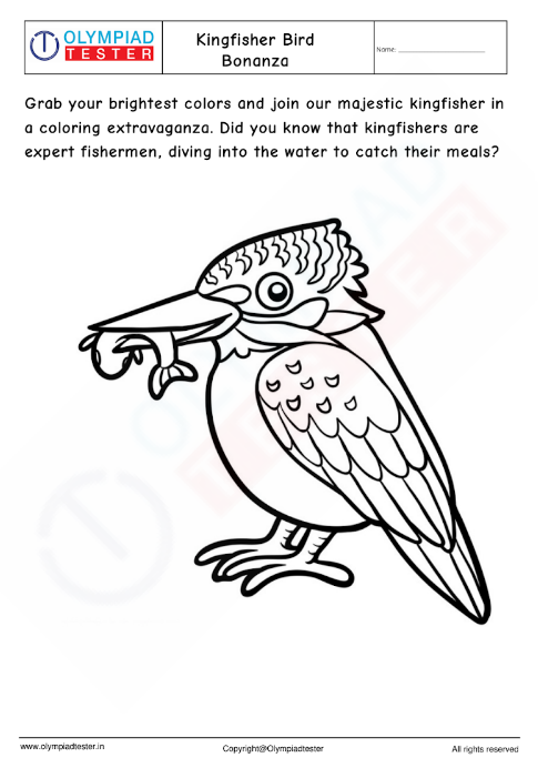 Kingfisher Bird coloring  Bonanza
