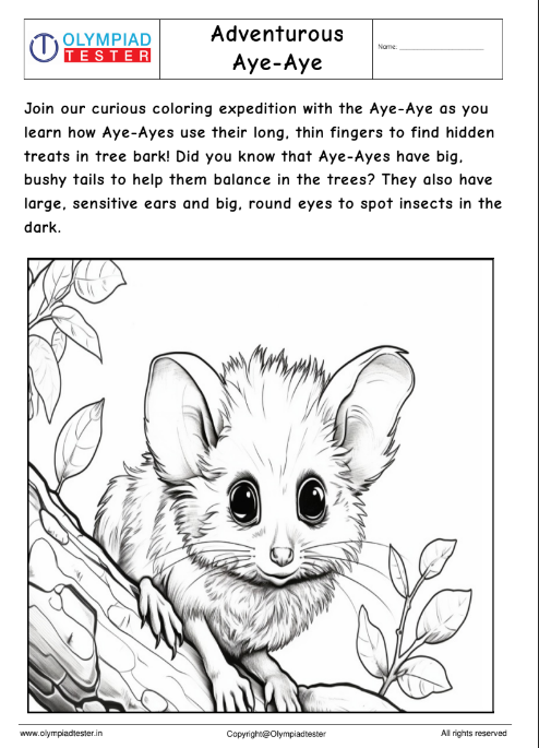 Adventurous Aye-Aye Coloring Page