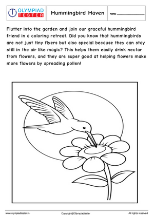 Hummingbird Haven - Garden Coloring Page