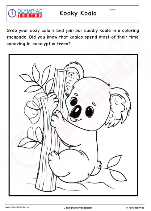 Kooky Koala Coloring Corner