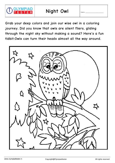 Owl coloring page