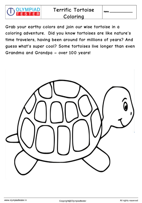 Terrific Tortoise Coloring Page