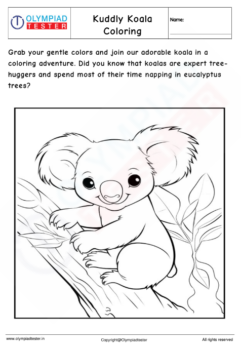 Kuddly Koala Coloring Page