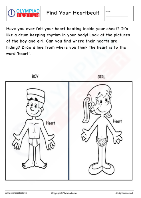 Human Body Worksheet: Find Your Heartbeat!
