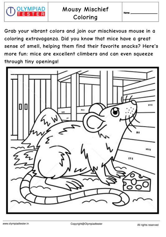Mouse Coloring Bonanza