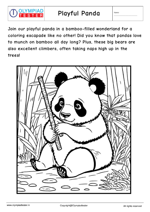 Cute Panda Coloring Page