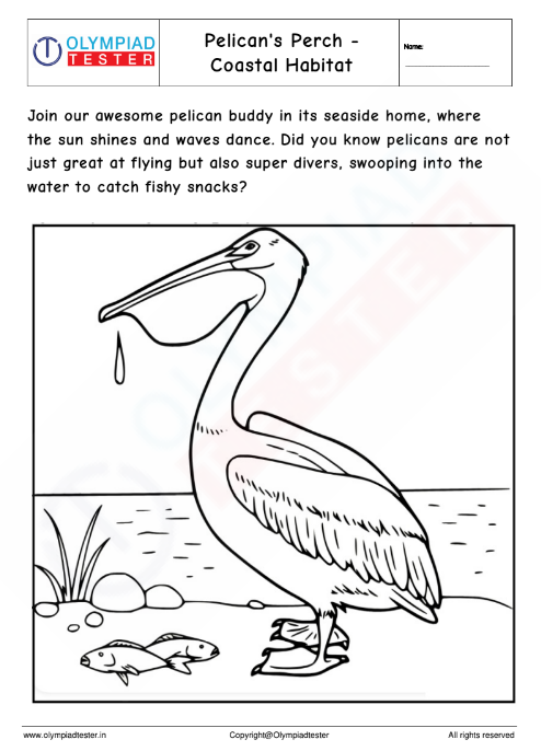 Pelican's Perch - Coastal Habitat Coloring Page