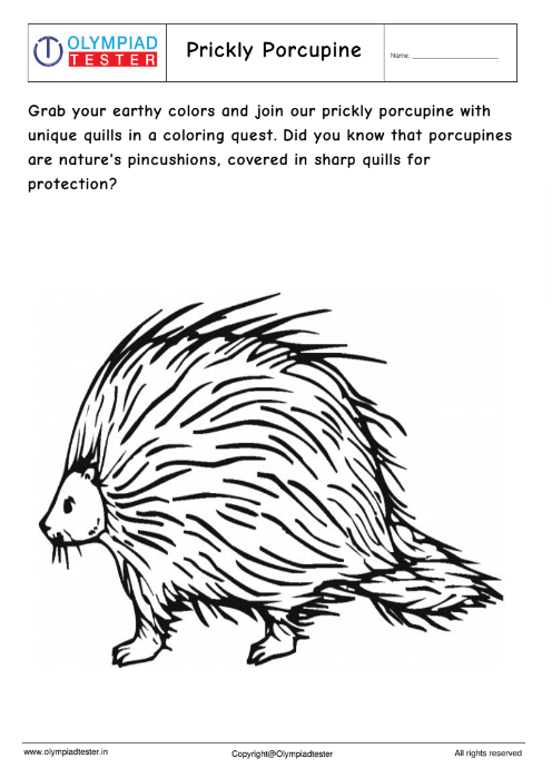 Prickly Porcupine Coloring Page