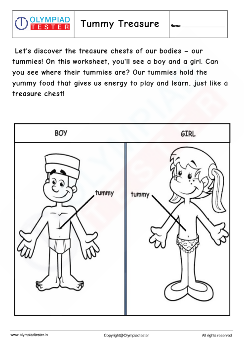 Kindergarten Worksheet - human body