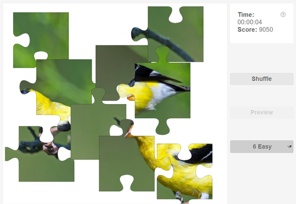 Online jigsaw puzzles for kids - birds - American Goldfinch