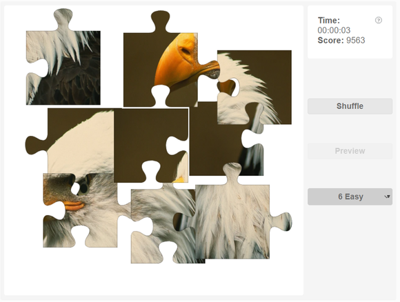 Online jigsaw puzzle on Birds - Bald eagle