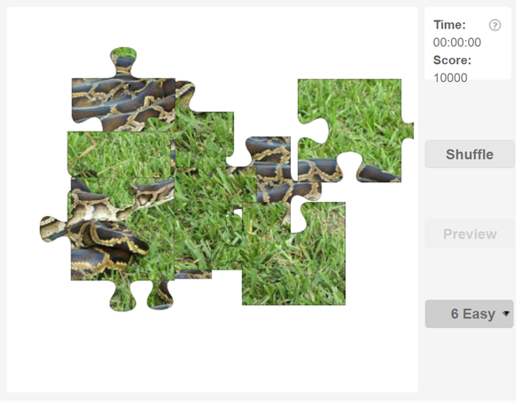 Online jigsaw puzzles - Reptiles - Burmese python