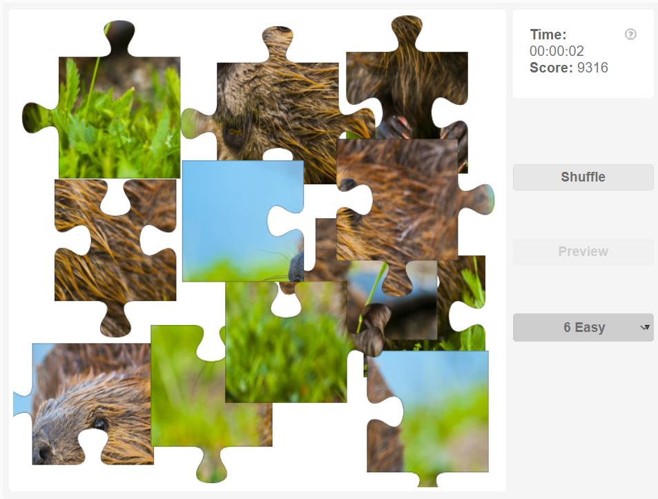 Beaver Jigsaw Puzzle - A Master Engineer | Olympiad tester