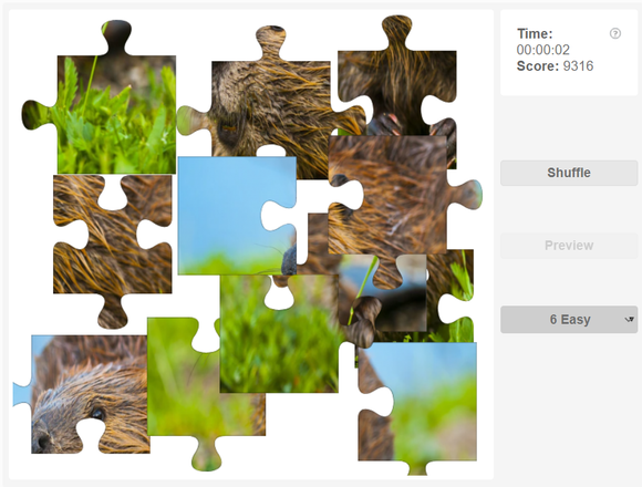 Animals jigsaw puzzle - Mammals - Beaver