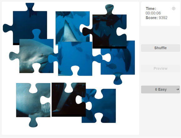 Online jigsaw puzzle - Fish - Bull shark