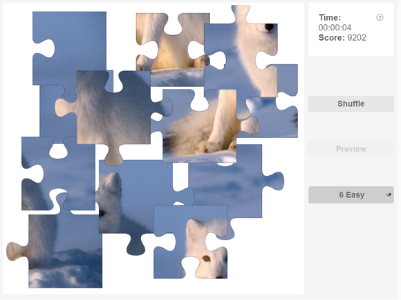 Animal jigsaw puzzles - Mammals - Arctic fox