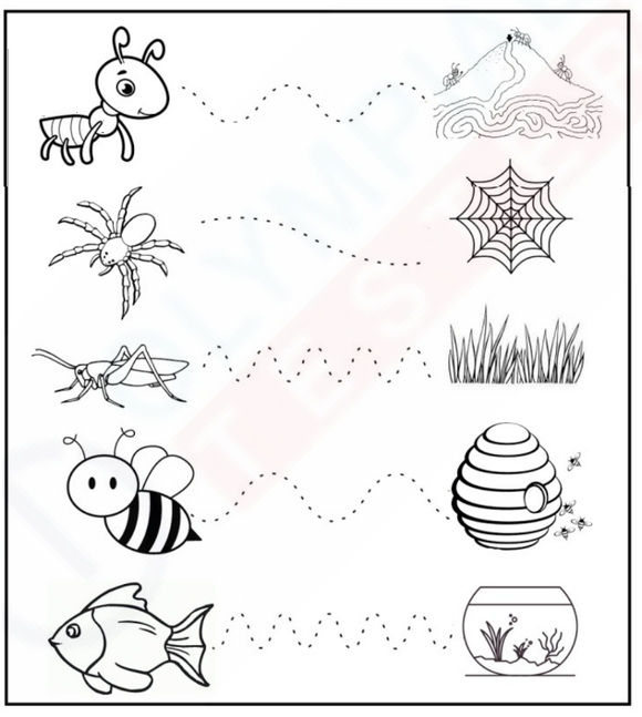 Kindergarten tracing worksheet with dotted lines connecting animals to their homes.