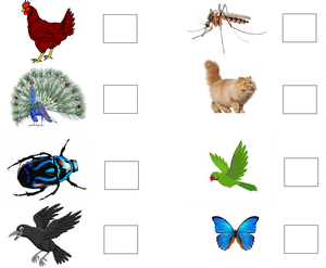 Free Printable Science Worksheets for Preschool - Animals 25