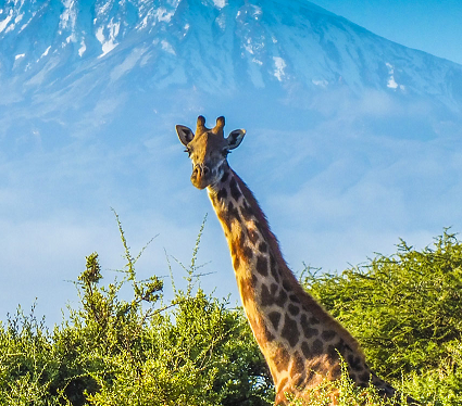 30 Amazing facts about Africa