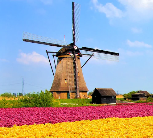 Amazing Facts about Netherlands