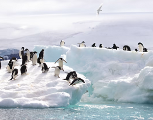 30 Amazing Facts about Antarctica
