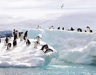 30 Amazing facts about Antarctica