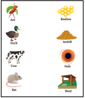 Free printable science worksheet for Preschool - Animals 13