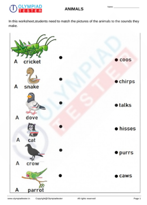 Free printable science worksheets for Preschool - Animals 12