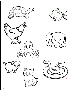 Free printable Science Worksheet for Preschool - Animals 28