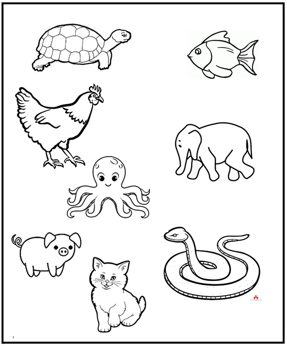 Free printable Science Worksheet for Preschool - Animals 28