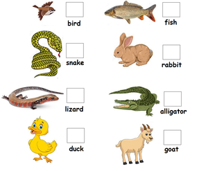 Free Printable Science Worksheets for Preschool - Animals 26