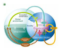 CBSE Class 4 Science - Our environment - Worksheet #1 - Olympiad tester
