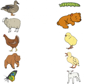 Free Printable Science Worksheets for Preschool - Animals 18