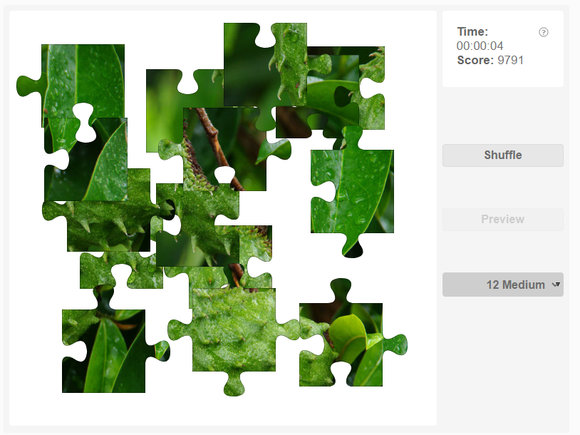 Online jigsaw puzzle - Guybano