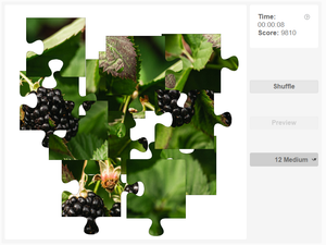 Puzzle - Blackberries