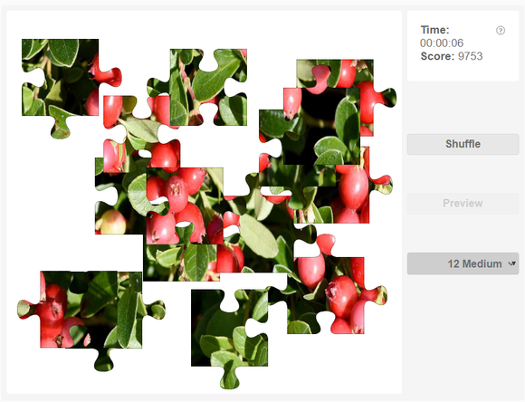 Online jigsaw puzzles - Cranberries