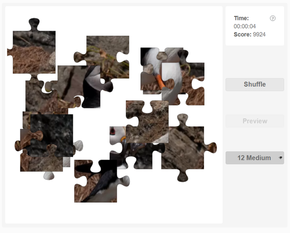 Online jigsaw puzzles -  Atlantic Puffin
