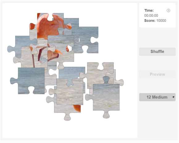 Online jigsaw puzzle - Flamingo