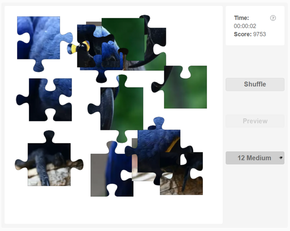 Online jigsaw puzzle - Hyacinth Macaw