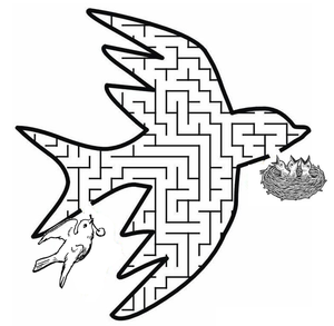 Bird Maze Worksheet