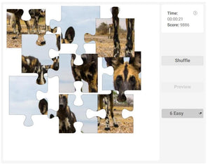 African Wild Dog Jigsaw Puzzle Game