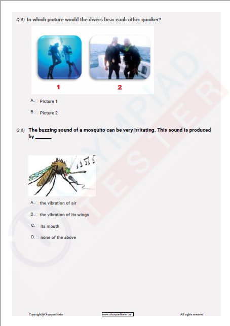 HOTS questions on 'Sound' for Class 8 Science