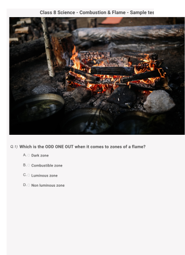 HOTS questions on 'Combustion and flame' for Class 8 Science