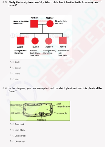 Class 8 Science - Cells - PDF Worksheet 01 - Olympiad tester