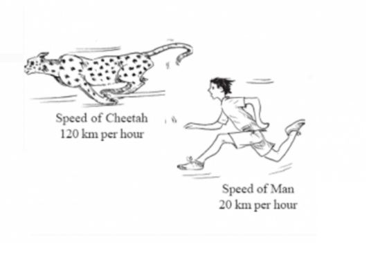 Class 8 Maths - Comparing quantities - Test 03 - Olympiad tester