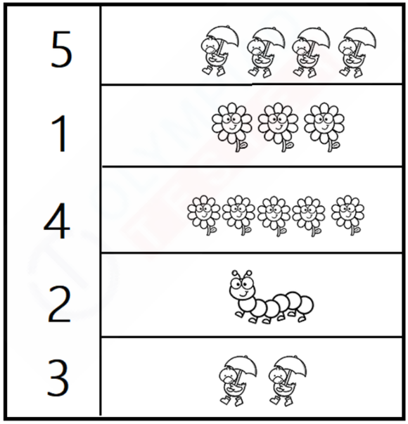 Numbers worksheet for kindergarten