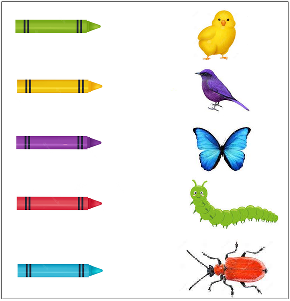 Download kindergarten worksheets for free. This worksheet for kindergarten is on animals and is available in PDF form.
