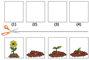 Free Kindergarten Worksheets - Plants 07