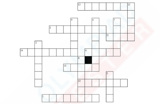 Grade 3 Science Crossword puzzles PDF - Plants