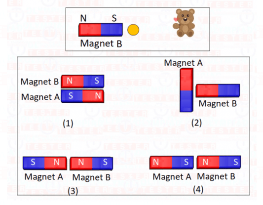 Class 6 Science Olympiad sample question paper
